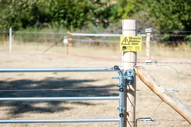 Für einen effektiven Schutz vor Wölfen, müssen nicht nur Zäune, sondern auch Tore und Gatter unter Strom gesetzt werden.  | Foto: Laszlo Pinter/dpa