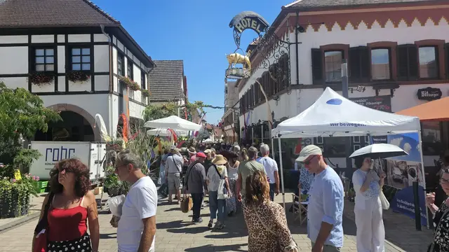 Zwischen Weinkerwe und Dorffest zeigen Veranstaltungen wie der Gartenmarkt in Maikammer die Vielfalt des Wochenendes in der Pfalz. | Foto: Eva Bender