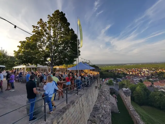 Ein toller Blick von der Wachtenburg. | Foto: Förderkreis Wachtenburg 