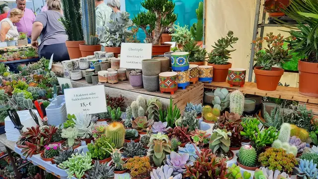 Von Kräutern bis Kakteen – Pflanzenvielfalt auf höchstem Niveau. Mehr als 120 Aussteller präsentieren Pflanzenraritäten, Gartendeko und regionale Produkte. | Foto: Kristin Hätterich