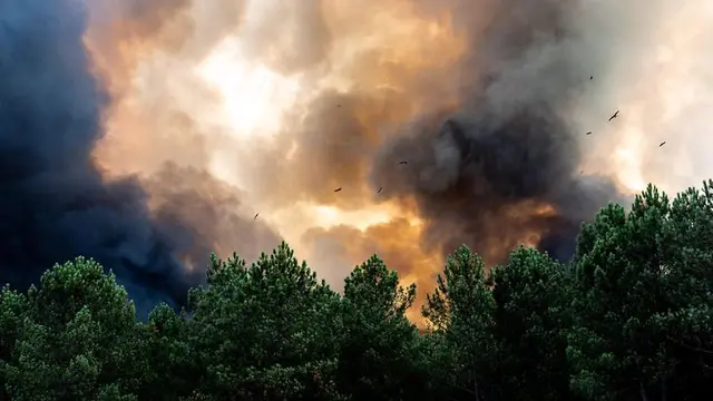 Pyrocumulonimbus-Wolken können bei großen Waldbränden Gewitter auslösen und Brände durch Wind und Blitze verstärken. Der Überblick erklärt Entstehung, Einordnung für Deutschland und sinnvolle Vorsorge rund ums Gebäude. | Foto: © picture alliance / Hans Lucas / Gauthier Bedrignans