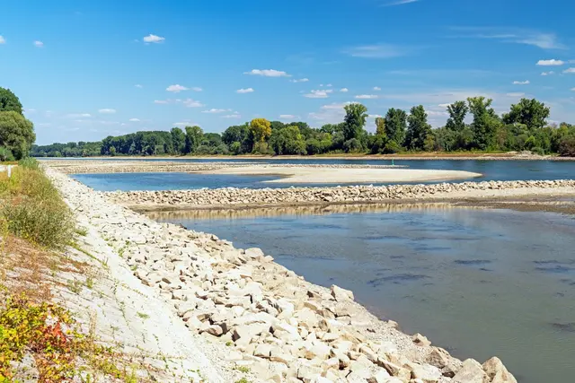 Bei Niedrigwasser wirkt der Rhein stellenweise zugänglich. Die Stadt Speyer warnt, den Flusslauf zu betreten oder dort zu schwimmen. | Foto: Jürgen Humbert