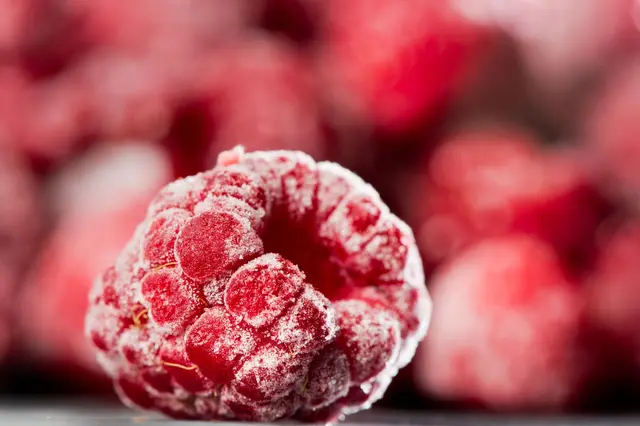 Himbeeren auf Vorrat: Obst und Gemüse lässt sich meist problemlos einfrieren. Praktisch, wenn im August alles auf einmal reif wird. | Foto: Franziska Gabbert/dpa-mag