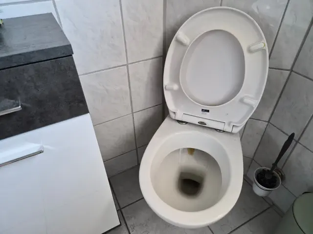 Urinstein in der Toilette ist schwer zu entfernen, aber nicht unmöglich. | Foto: Sarah Isele