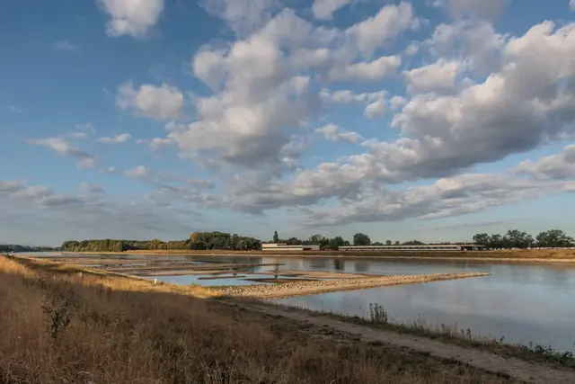 Der niedrige Wasserstand legt am Rhein derzeit Kies- und Sandbänke frei. Die DLRG warnt dennoch eindringlich vor dem Baden im Fluss. | Foto: Paul Needham