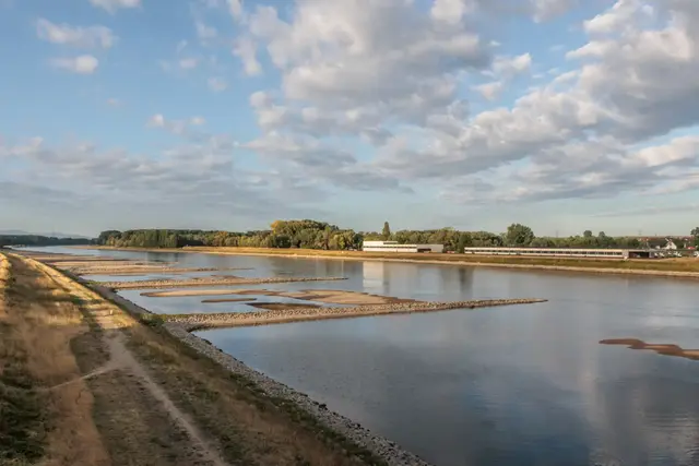 Der niedrige Wasserstand legt am Rhein derzeit Kies- und Sandbänke frei. Die DLRG warnt dennoch eindringlich vor dem Baden im Fluss. | Foto: Paul Needham