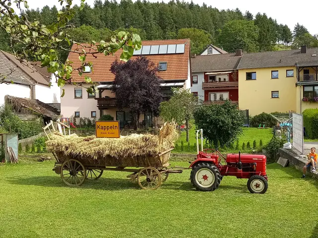 Am Sonntag, 6. September lädt Kappeln zum Dorfmarkt ein  | Foto: Anja Stemler