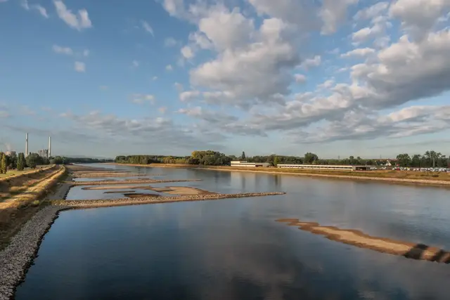 Der niedrige Wasserstand legt am Rhein derzeit Kies- und Sandbänke frei. Die DLRG warnt dennoch eindringlich vor dem Baden im Fluss. | Foto: Paul Needham