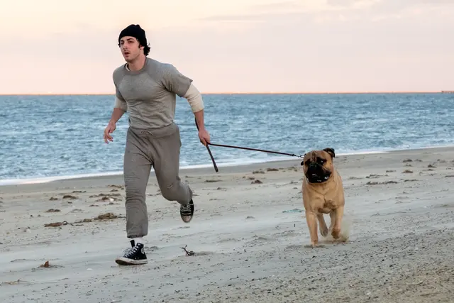 I Play Rocky: Das Biopic erzählt die Entstehungsgeschichte hinter „Rocky“ und startet am 26. November im Kino. | Foto: LEONINE Studios