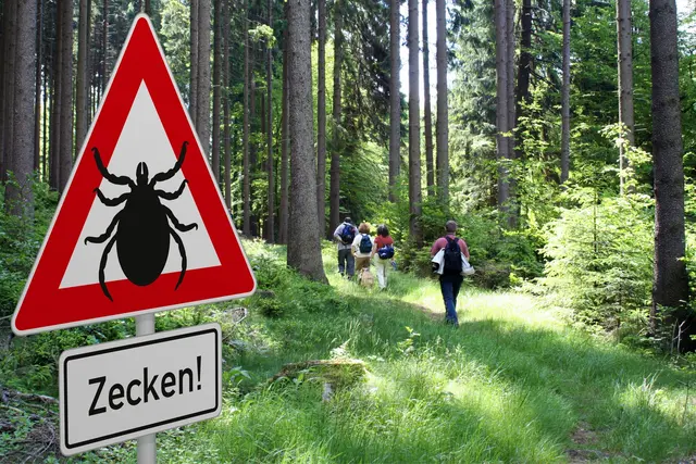 Zeckenschutz: Borreliose und FSME vorbeugen, Zecken richtig entfernen. | Foto: ADAC Hessen-Thüringen e.V.