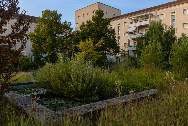 Die grünen Innenhöfe, der zentral gelegene mit einem Seerosenteich.  | Foto: JG