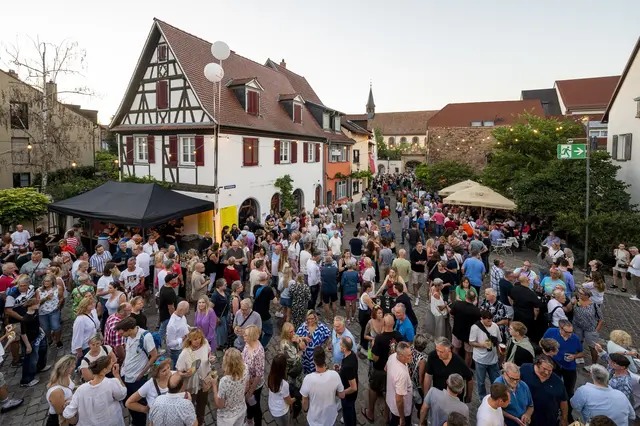 Altstadtfest Speyer 2026: Buntes Treiben in den gemütlichen Speyerer Gassen - dafür ist das Altstadtfest bekannt | Foto: Klaus Venus/gratis