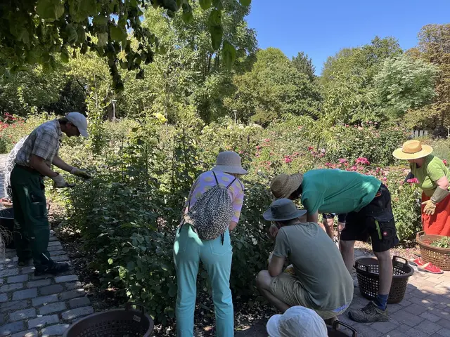 Mitgärtnern im Herzogenriedpark | Foto: Herzogenriedpark Mannheim
