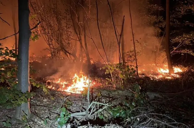 In einem Waldstück bei Landstuhl-Atzel brannten in der Nacht rund 200 Quadratmeter Fläche. Die Feuerwehr löschte das Feuer schnell, die Polizei ermittelt wegen des Verdachts der Brandstiftung. | Foto: Polizeiinspektion Landstuhl