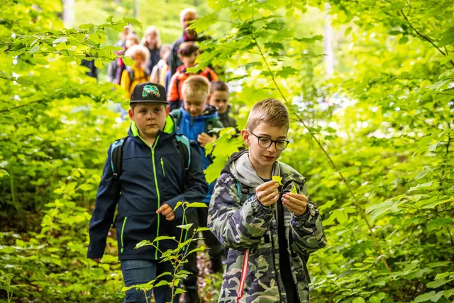 Beim „Abenteuer Jagd und Wald“ entdecken Kinder spielerisch Zusammenhänge in der Natur  | Foto: Landesforsten.RLP.de/J. Fieber/gratis