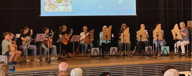 Im Kreishaus in Landau gibt es am Samstagabend Live-Musik mit Gitarre und Veeh-Harfe. | Foto: Gütermann-Cichorowski/frei