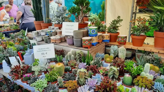 Von Kräutern bis Kakteen – Pflanzenvielfalt auf höchstem Niveau. Mehr als 120 Aussteller präsentieren Pflanzenraritäten, Gartendeko und regionale Produkte. | Foto: Kristin Hätterich