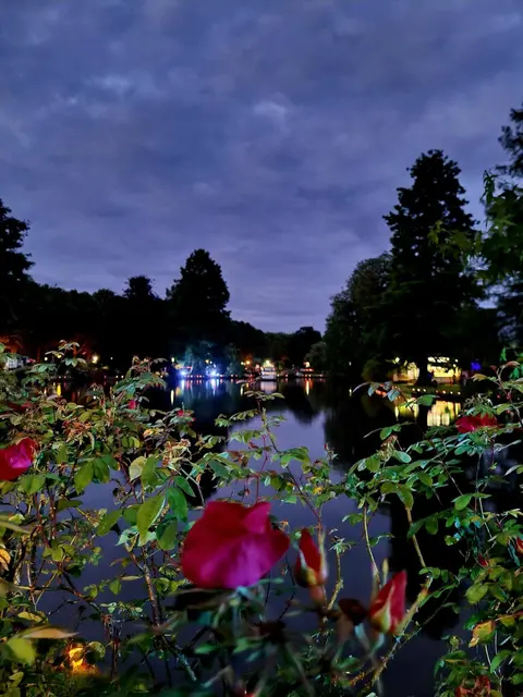 Rosen und Lichter in der Dämmerung: Beim Fest der 1000 Lichter zeigt sich der Zweibrücker RosenGarten nach Einbruch der Dunkelheit von seiner besonders stimmungsvollen Seite. | Foto: Barbara Vollmer