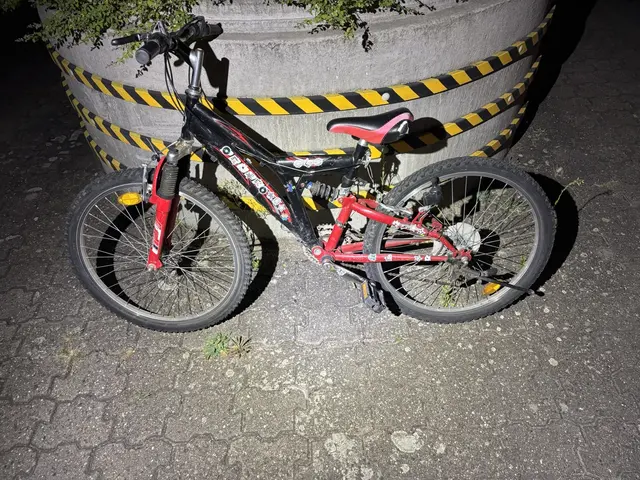Die Polizei hat in Mutterstadt in der Nacht zu Freitag drei mutmaßliche Diebe überprüft und Fahrräder sowie einen Bolzenschneider sichergestellt. Ein aufmerksamer Zeuge hatte zuvor verdächtige Männer beobachtet und die Beamten alarmiert. | Foto: Polizeidirektion Ludwigshafen