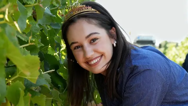 Pfälzische Weinkönigin Anna Antonia Cölsch bei der Weinlese | Foto: Pfalzwein e.V.