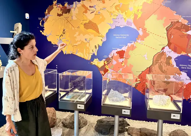 Vor der farbcodierten tektonischen Karte des Natural History Museum of the Lesvos Petrified Forest in Sigri, in der jede Farbe eine andere vulkanische Gesteinsschicht erzählt, deutet die Geologin Parthenopi Pamidou auf die Verwerfungslinien, die sich wie Narben über das „Gesicht“ von Lesbos ziehen. Was hier in Vitrinen liegt — Bimsstein, Obsidian, versteinertes Holz —, war einst glühende Lava, die vor rund zwanzig Millionen Jahren, am Übergang von Oligozän zu Miozän, einen subtropischen Wald unter Asche begrub und jenes Naturwunder schuf, dem das Museum seinen Namen und seinen Auftrag verdankt. Wer Pamidou zuhört, begreift: Erdgeschichte ist auf Lesbos kein abstrakter Begriff. Sie lässt sich betreten, betasten und in Stein noch immer lesen.
 | Foto: Daniel J. Basler