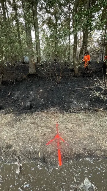 Beim Waldbrand in Hürtgenwald haben 121 Einsatzkräfte aus Wuppertal, Solingen und Remscheid die Flammen zurückgedrängt. Neue Brandschneisen und große Hilfsbereitschaft aus der Bevölkerung erleichtern den Feuerwehren den Einsatz in der Eifel. | Foto: Feuerwehr Solingen