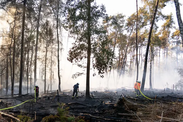 Großbrand am Wingertsweiher bei Ottweiler: 510 Einsatzkräfte bekämpften den Waldbrand über 22 Stunden. Wegen Rauch und Sperrungen wurden Anwohner gewarnt, ein Campingplatz und eine Gaststätte vorsorglich evakuiert. | Foto: Kreisfeuerwehrverband Neunkirchen