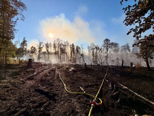 Großflächiger Waldbrand am Wingertsweiher fordert mehrere hundert Einsatzkräfte | Foto: Feuerwehren Landkreis Neunkirchen