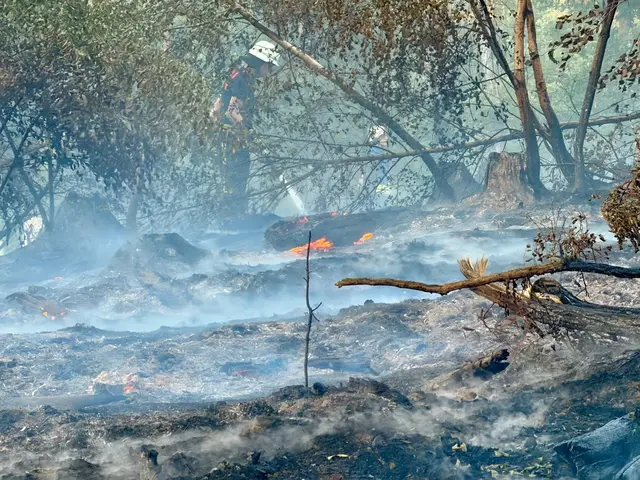 Großflächiger Waldbrand am Wingertsweiher fordert mehrere hundert Einsatzkräfte | Foto: Feuerwehren Landkreis Neunkirchen