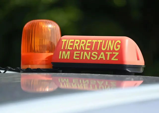 Das Veterinäramt bekam einen Hinweis. (Symbolbild) | Foto: Uli Deck/dpa