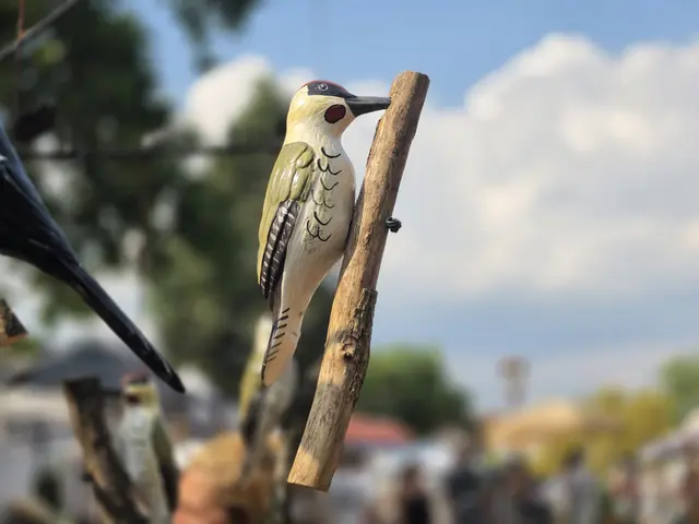Von Pflanzen bis zu dekorativen Accessoires: Die Aussteller boten zahlreiche Inspirationen für den eigenen Garten. | Foto: Eva Bender
