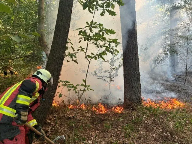 Kurz nach 17 Uhr verhinderte die Feuerwehr nach Angaben der Feuerwehr Kaiserslautern, dass sich ein Waldbrand zwischen dem Vogelwoog und der Königsberger Straße weiter ausbreitete | Foto: Feuerwehr Kaiserslautern