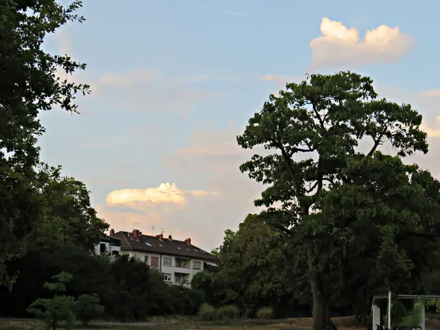 Von der Sonne angestrahlte Wolken | Foto: Brigitte Melder