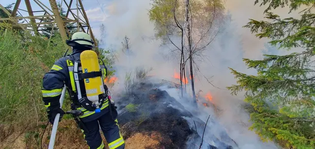 Insgesamt waren Hunderte von Feuerwehrleuten im Einsatz.  | Foto: Christian Klemm/dpa