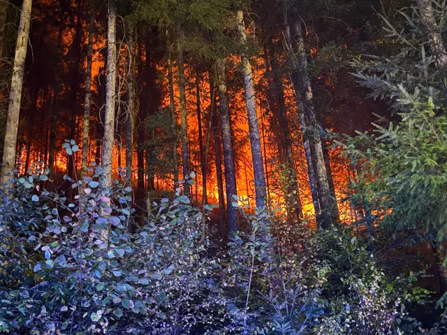 Bislang ist erst ein Teil des Feuers unter Kontrolle.(Handout) | Foto: Marius Daute/Feuerwehr Rottweil/dpa