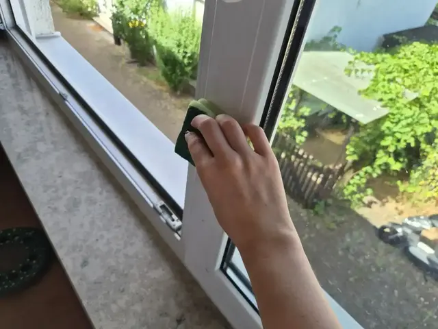 Wer Fenster putzt, muss auch die Fensterrahmen reinigen. | Foto: Sarah Isele