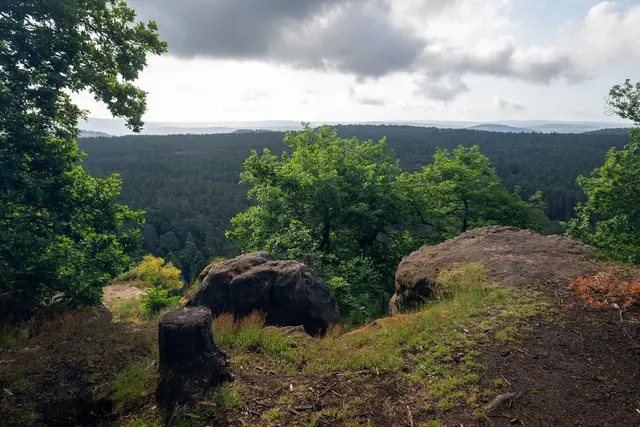Wolken bedecken in Rheinland-Pfalz und im Saarland den Himmel. (Symbolbild) | Foto: Harald Tittel/dpa