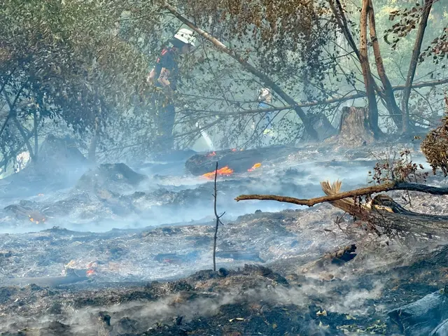 Großflächiger Waldbrand am Wingertsweiher fordert mehrere hundert Einsatzkräfte | Foto: Feuerwehren Landkreis Neunkirchen