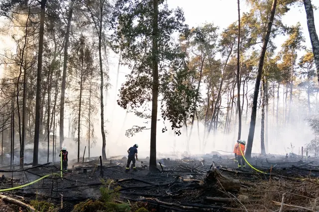Großflächiger Waldbrand am Wingertsweiher fordert mehrere hundert Einsatzkräfte | Foto: Feuerwehren Landkreis Neunkirchen
