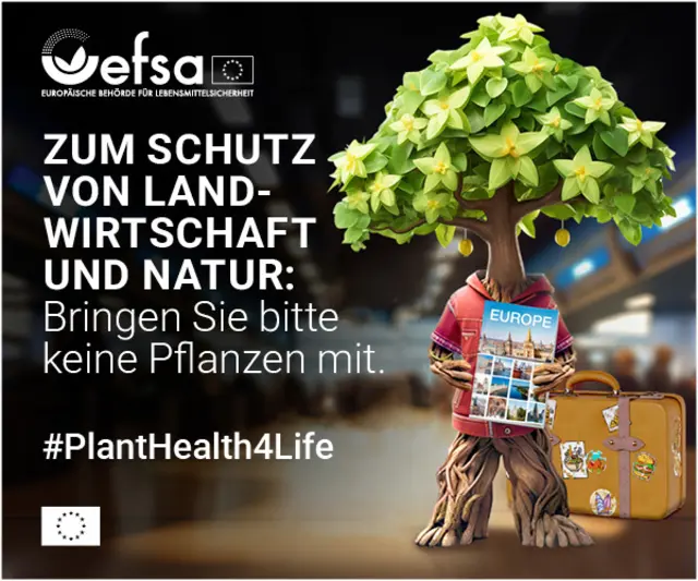 Japankäfer: Hinweise zum Vermeiden einer Einschleppung über Reisegepäck und Fahrzeuge. | Foto: EFSA