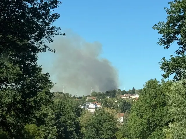 Großflächiger Waldbrand am Wingertsweiher fordert mehrere hundert Einsatzkräfte | Foto: Feuerwehren Landkreis Neunkirchen