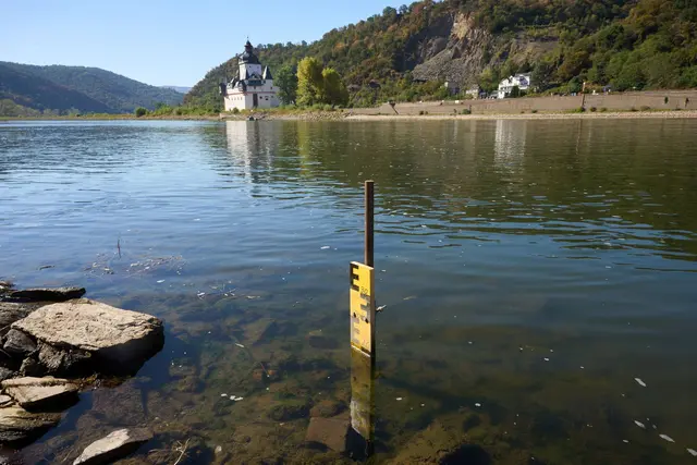 Kaub gilt als Engstelle der Rhein-Schifffahrt. (Archivbild) | Foto: Thomas Frey/dpa