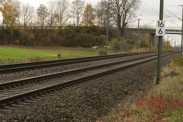 Nach einem Oberleitungsschaden ist derzeit kein Bahnbetrieb zwischen Ubstadt Ort und Menzingen (Baden) möglich.  | Foto: Heike Schwitalla