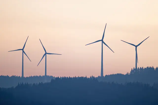Unbekannte haben die Stromkabel des Windparks bei Oberkirch sabotiert. (Symbolbild) | Foto: Uwe Anspach/dpa