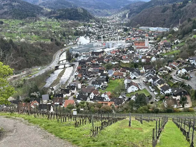 Blick vom Schloss Eberstein auf das Murgtal im Nordschwarzwald | Foto: Heike Schwitalla