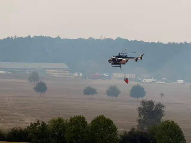 Der Waldbrand im Hosterwald bei Illingen hat rund 18 Hektar Fläche erfasst und mehr als 1.000 Einsatzkräfte gebunden. Nach 78 Stunden wurde der Großeinsatz der Feuerwehr beendet. | Foto: Kreisfeuerwehrverband Neunkirchen