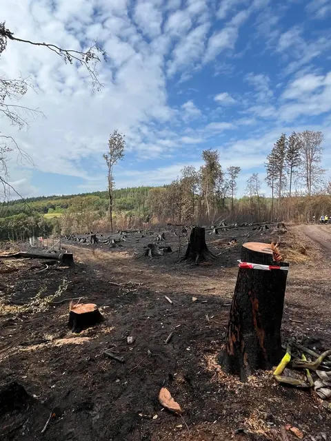 Der Waldbrand im Hosterwald bei Illingen hat rund 18 Hektar Fläche erfasst und mehr als 1.000 Einsatzkräfte gebunden. Nach 78 Stunden wurde der Großeinsatz der Feuerwehr beendet. | Foto: Kreisfeuerwehrverband Neunkirchen