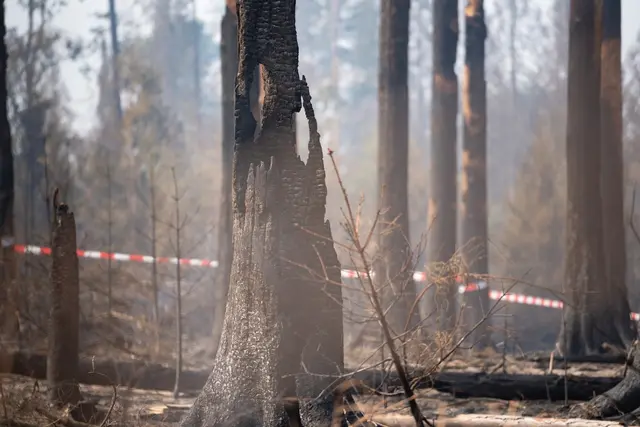 Der Waldbrand im Hosterwald bei Illingen hat rund 18 Hektar Fläche erfasst und mehr als 1.000 Einsatzkräfte gebunden. Nach 78 Stunden wurde der Großeinsatz der Feuerwehr beendet. | Foto: Kreisfeuerwehrverband Neunkirchen