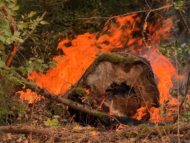 Der Waldbrand im Hosterwald bei Illingen hat rund 18 Hektar Fläche erfasst und mehr als 1.000 Einsatzkräfte gebunden. Nach 78 Stunden wurde der Großeinsatz der Feuerwehr beendet. | Foto: Kreisfeuerwehrverband Neunkirchen