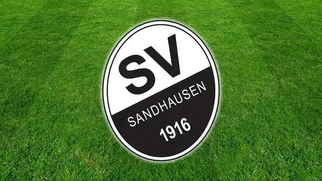 Vertreter des SV Sandhausen, von WIRSOL und Infront bei der Vorstellung der Partnerschaft. | Foto: Anouar Touir